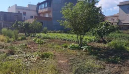 Aste giudiziarie immobiliari online - 5.0