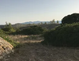 Aste giudiziarie immobiliari online - 3.0