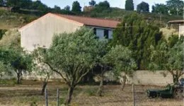 Aste giudiziarie immobiliari online - 11.0