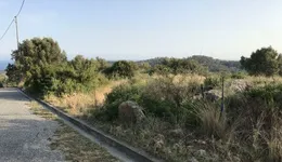 Aste giudiziarie immobiliari online - 8.0