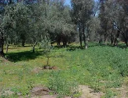 Aste giudiziarie immobiliari online - 3.0