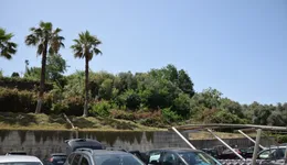 Aste giudiziarie immobiliari online - 10.0