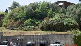 Aste giudiziarie immobiliari online - 11.0