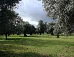 Aste giudiziarie immobiliari online - 8.0