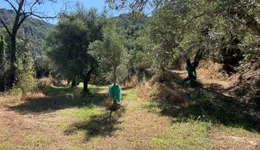 Aste giudiziarie immobiliari online - 3.0
