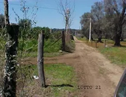 Aste giudiziarie immobiliari online - 10.0