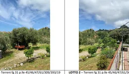 Aste giudiziarie immobiliari online - 10.0