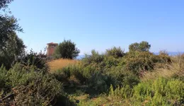 Aste giudiziarie immobiliari online - 11.0
