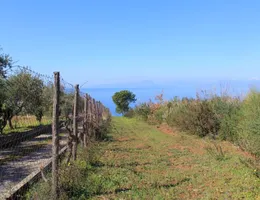 Aste giudiziarie immobiliari online - 11.0