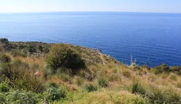 Aste giudiziarie immobiliari online - 6.0