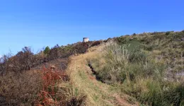 Aste giudiziarie immobiliari online - 6.0