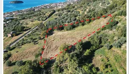 Aste giudiziarie immobiliari online - 12.0