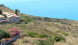 Aste giudiziarie immobiliari online - 11.0
