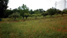 Aste giudiziarie immobiliari online - 3.0