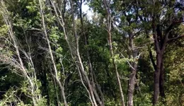 Aste giudiziarie immobiliari online - 8.0