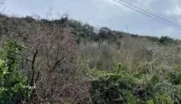 Aste giudiziarie immobiliari online - 2.0