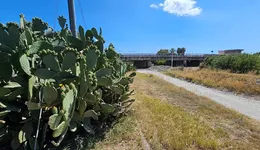 Aste giudiziarie immobiliari online - 10.0