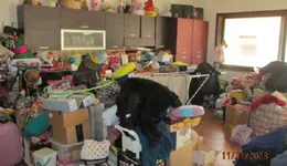 Aste giudiziarie immobiliari online - 7.0