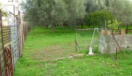 Aste giudiziarie immobiliari online - 10.0