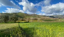 Aste giudiziarie immobiliari online - 4.0