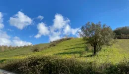 Aste giudiziarie immobiliari online - 5.0