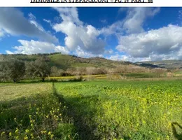 Aste giudiziarie immobiliari online - 6.0