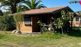 Aste giudiziarie immobiliari online - 4.0