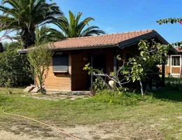 Aste giudiziarie immobiliari online - 8.0