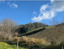 Aste giudiziarie immobiliari online - 12.0