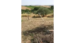Aste giudiziarie immobiliari online - 6.0