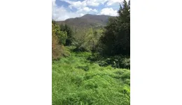 Aste giudiziarie immobiliari online - 12.0