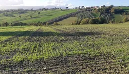 Aste giudiziarie immobiliari online - 12.0