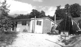Aste giudiziarie immobiliari online - 6.0