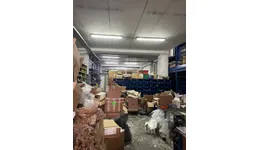 Aste giudiziarie immobiliari online - 10.0