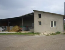 Aste giudiziarie immobiliari online - 8.0