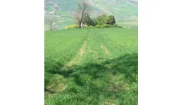 Aste giudiziarie immobiliari online - 7.0