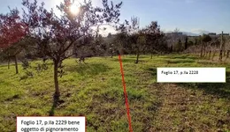 Aste giudiziarie immobiliari online - 6.0