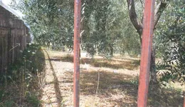 Aste giudiziarie immobiliari online - 2.0