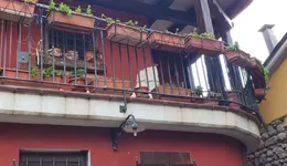 Aste giudiziarie immobiliari online - 8.0