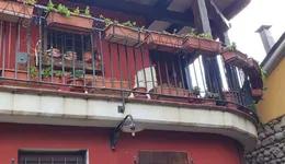 Aste giudiziarie immobiliari online - 9.0