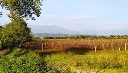 Aste giudiziarie immobiliari online - 8.0