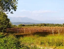 Aste giudiziarie immobiliari online - 8.0