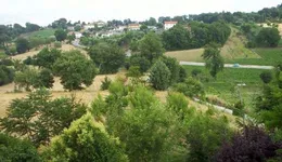 Aste giudiziarie immobiliari online - 5.0