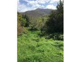 Aste giudiziarie immobiliari online - 6.0