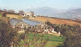 Aste giudiziarie immobiliari online - 4.0