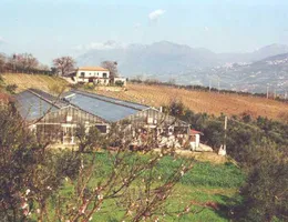 Aste giudiziarie immobiliari online - 12.0