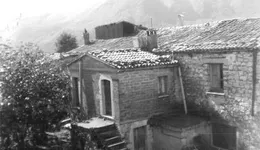 Aste giudiziarie immobiliari online - 8.0