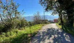 Aste giudiziarie immobiliari online - 7.0