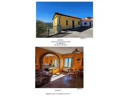 Aste giudiziarie immobiliari online - 6.0