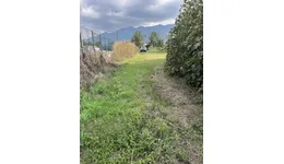 Aste giudiziarie immobiliari online - 5.0